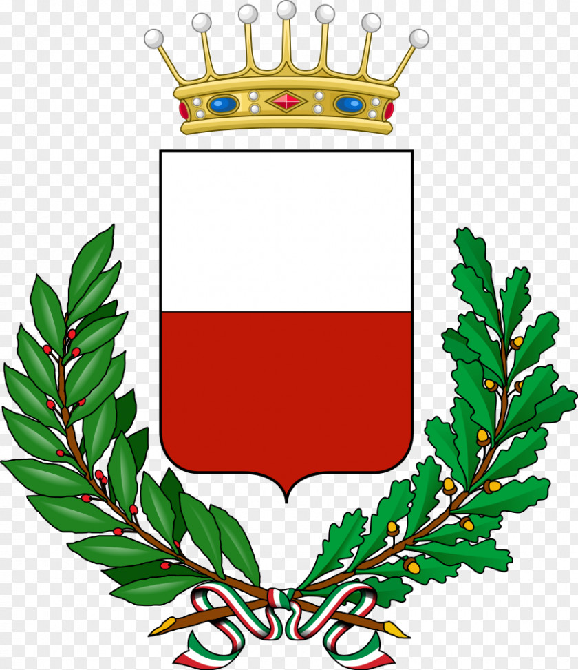 Baron Insignia Fiume Veneto Treviso Barcis Claut Province Of Asti PNG