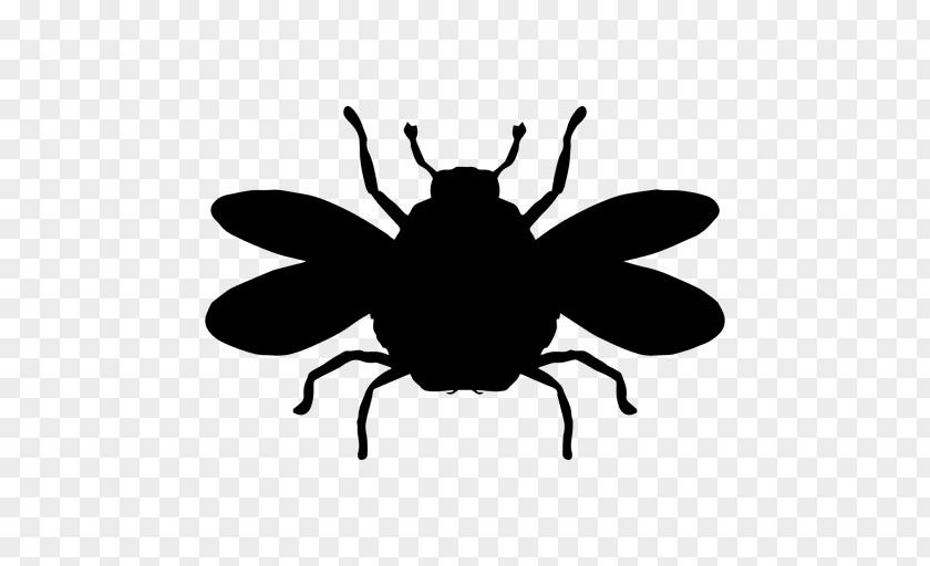 Bee Bumblebee Insect Clip Art PNG