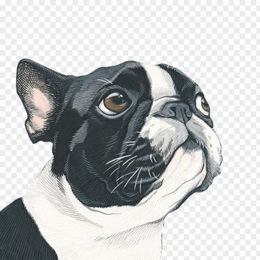 Dog Portrait Painting Art Illustration PNG