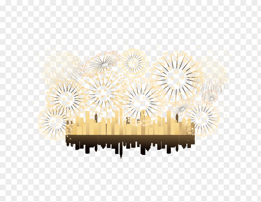 Fireworks Euclidean Vector PNG