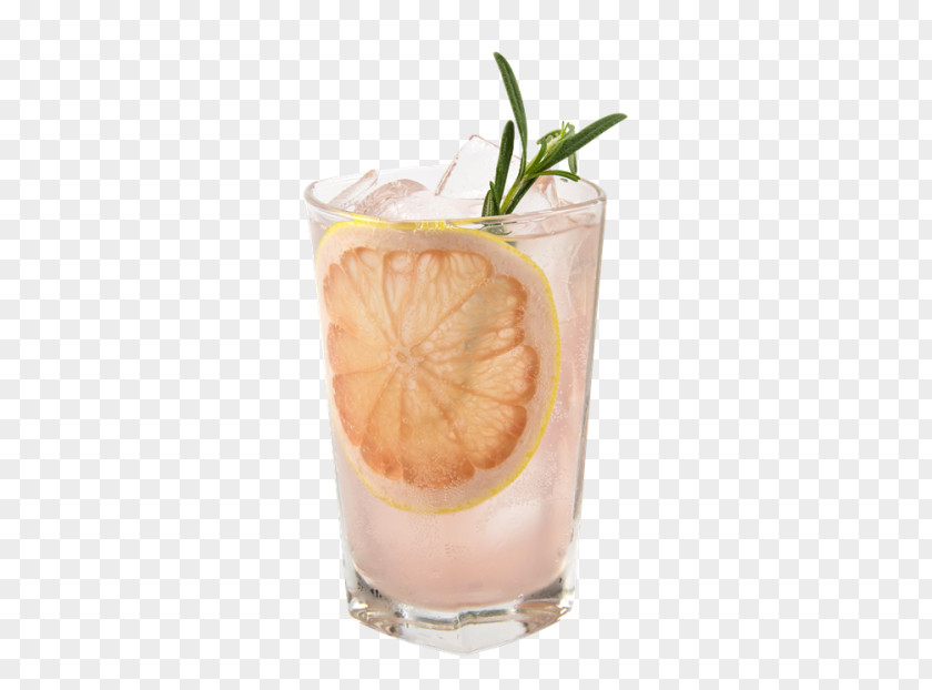 Grapefruit Juice Cocktail Garnish Orange Drink Flavor Sea Breeze PNG