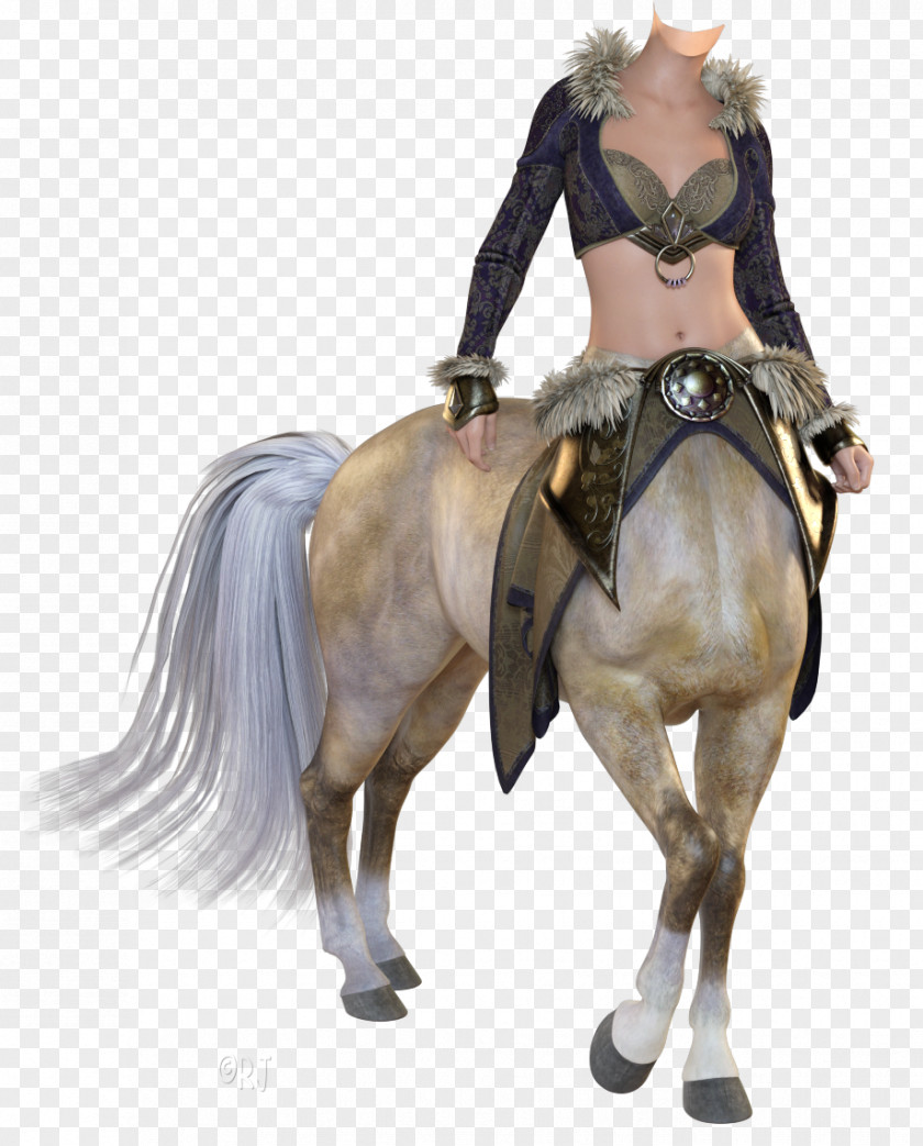 Mustang Bridle Mane Stallion Pony PNG