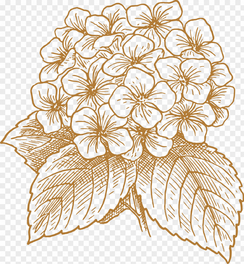 Painted Flowers French Hydrangea Flower Drawing Clip Art PNG