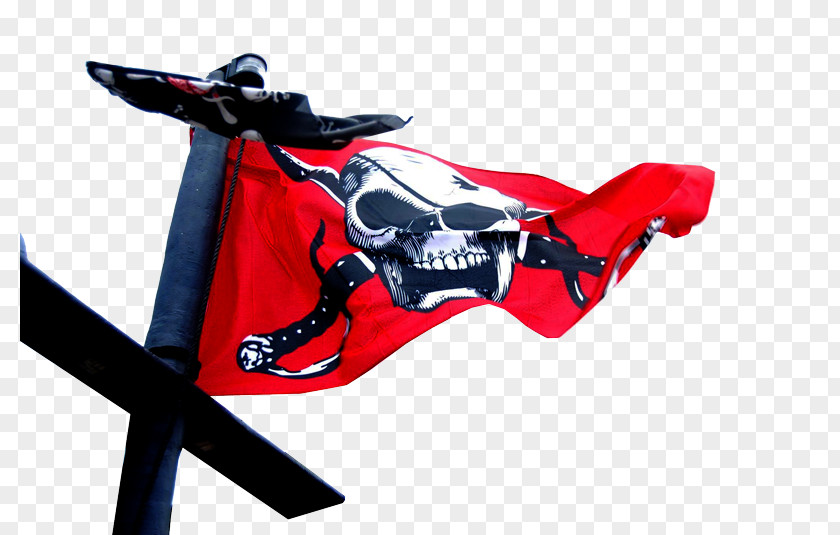 Pirate Flag BlueFoot Adventures Piracy Jolly Roger Miami Adventure Film PNG