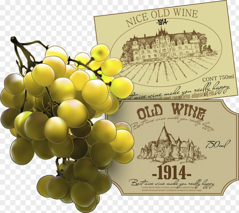 Vector Grapes Common Grape Vine Wine Leaves PNG