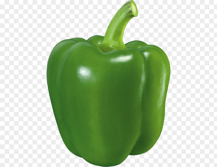 Vegetable Bell Pepper Chili Clip Art Food PNG