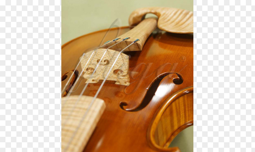 Violin Bass Violone Viola Musical Instruments PNG
