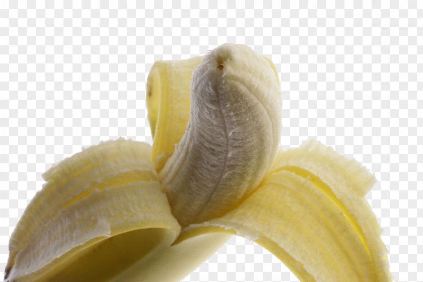 Banana Fruit Vegetable PNG