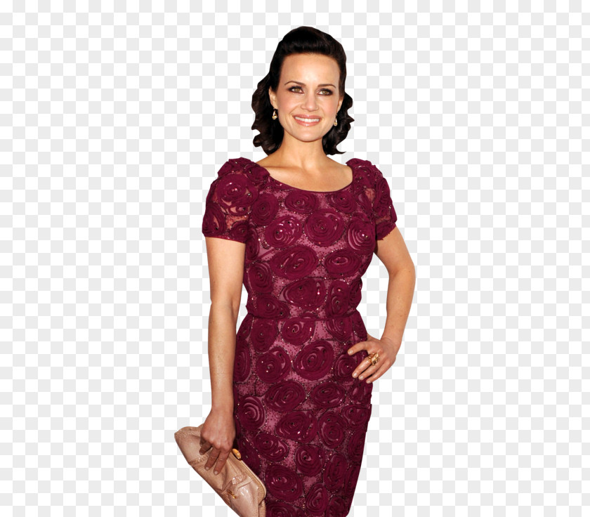 Carla Gugino Cocktail Dress Lace Velvet PNG