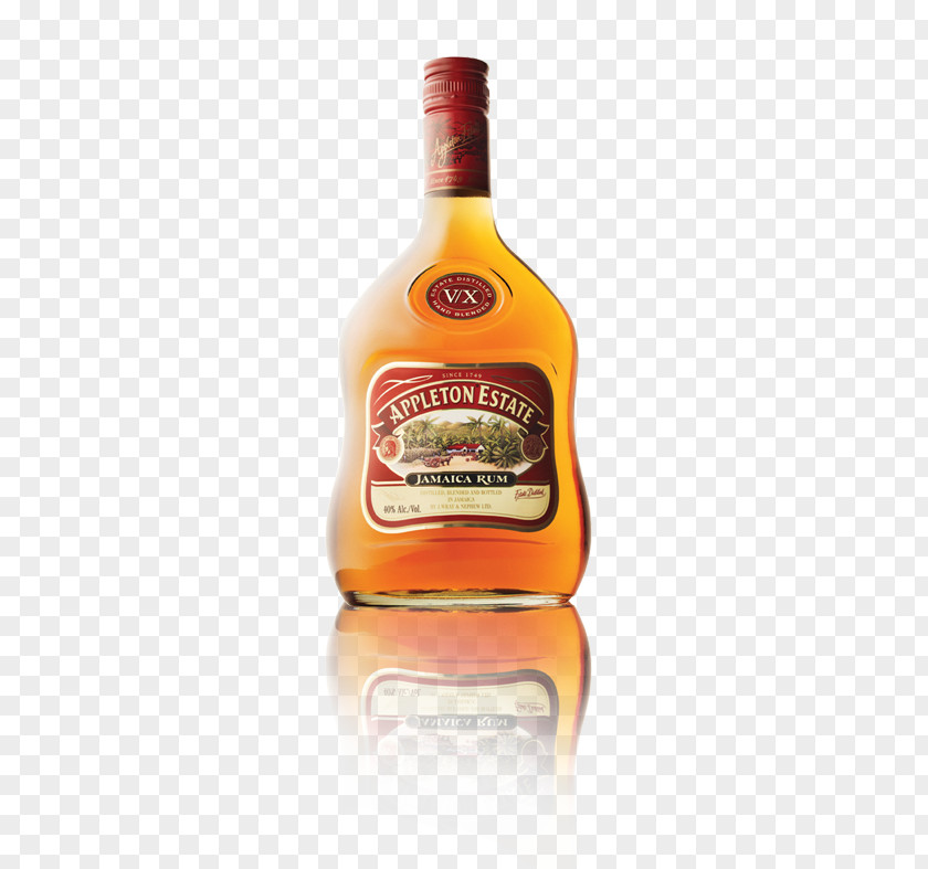 Mai Tai Liqueur Light Rum Tequila Liquor PNG
