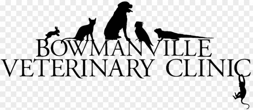 Pet Clinic Logo Mammal Hardanger Embroidery Human Behavior Font PNG