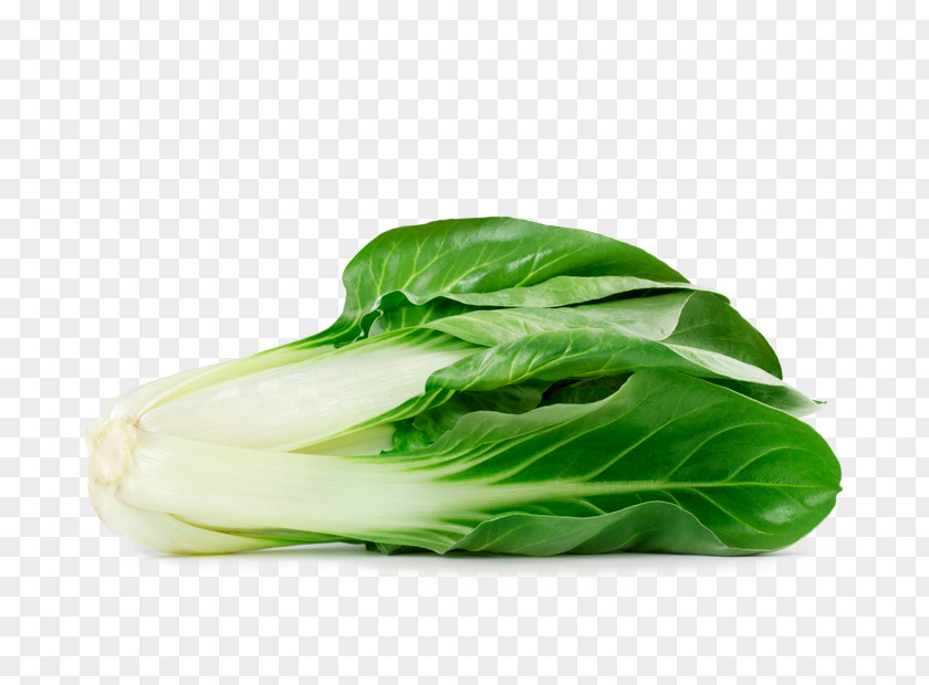 Vegetable Romaine Lettuce Chard Spinach Leaf PNG