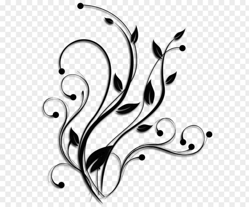 Blackandwhite Line Art Leaf PNG