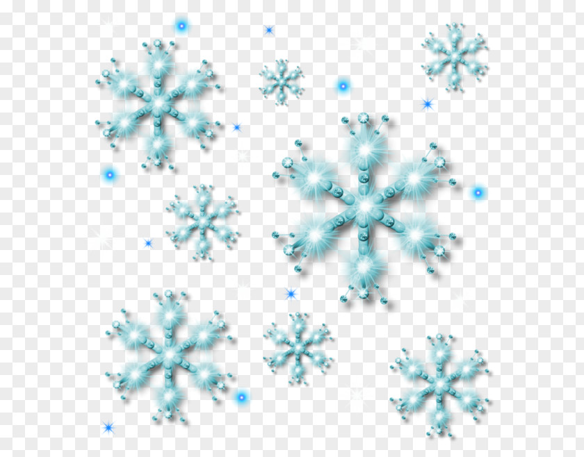 Blue Snowflakes Snowflake Icon PNG