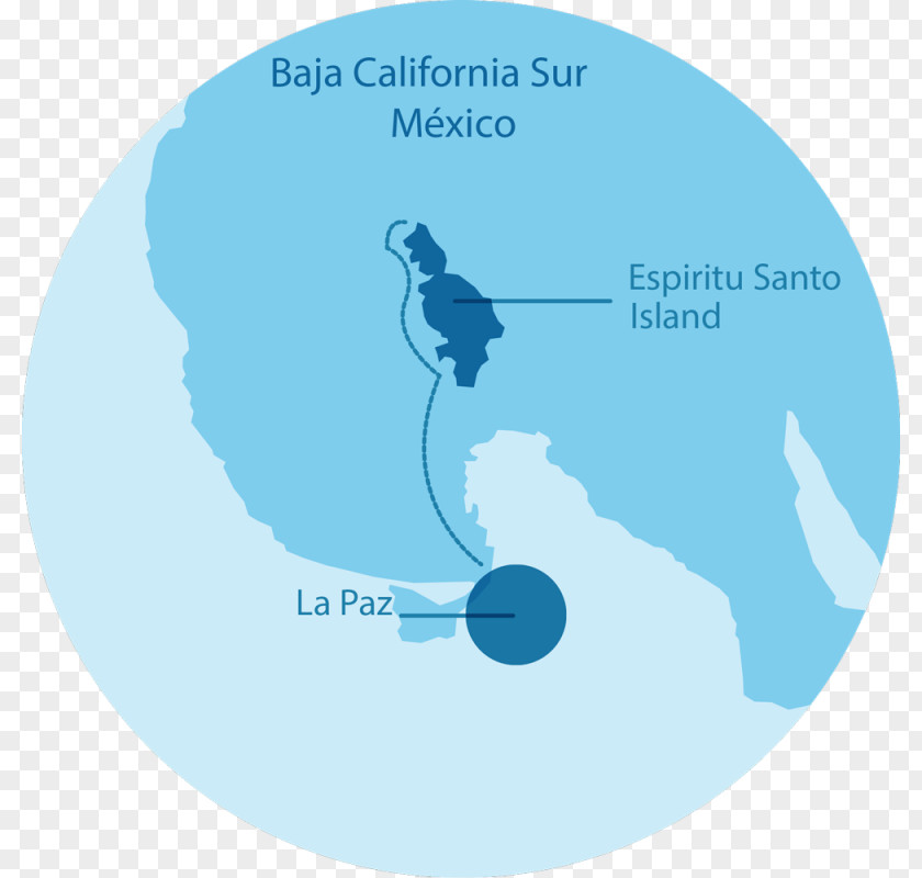 Islamic Decorative Map Isla Espíritu Santo RED Travel México UNESCO Sea Lion PNG