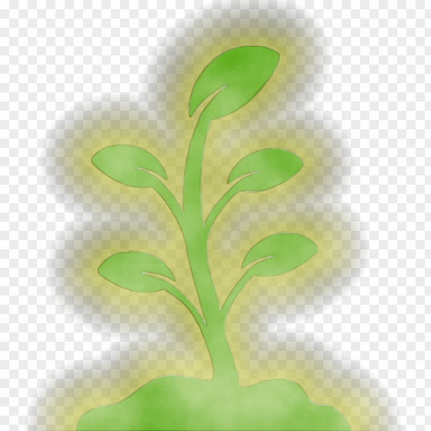 Leaf Plant Stem Tree Plants PNG