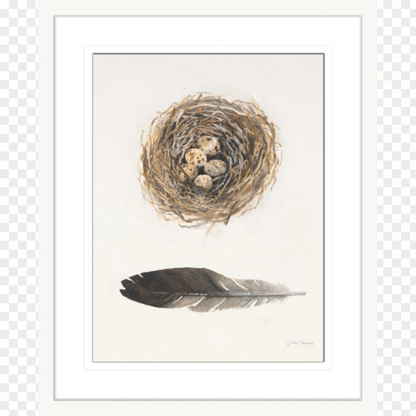 Nest Watercolor Painting Art Canvas Poster PNG