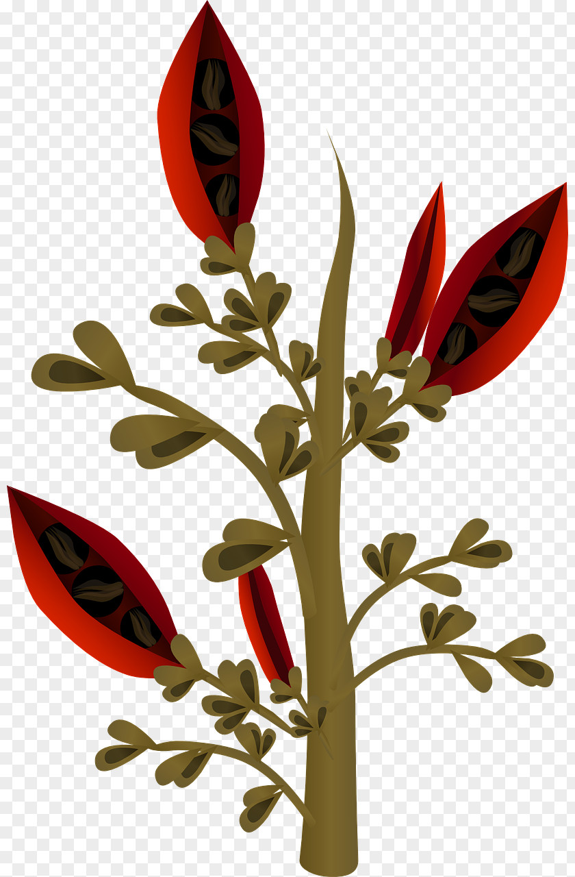 Red Plant Seed Clip Art PNG