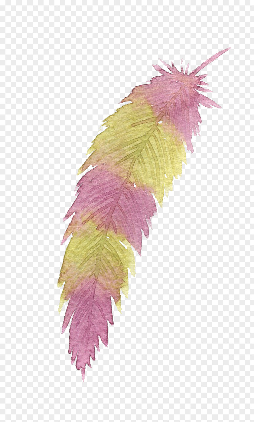 Gouache Painted Feathers Feather Yellow Purple PNG