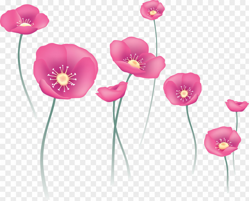 Poppy Flower Watercolor Painting Clip Art PNG
