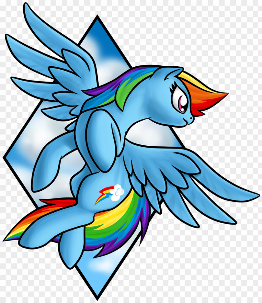 Rainbow Hair Bird Vertebrate Art Beak Fish PNG