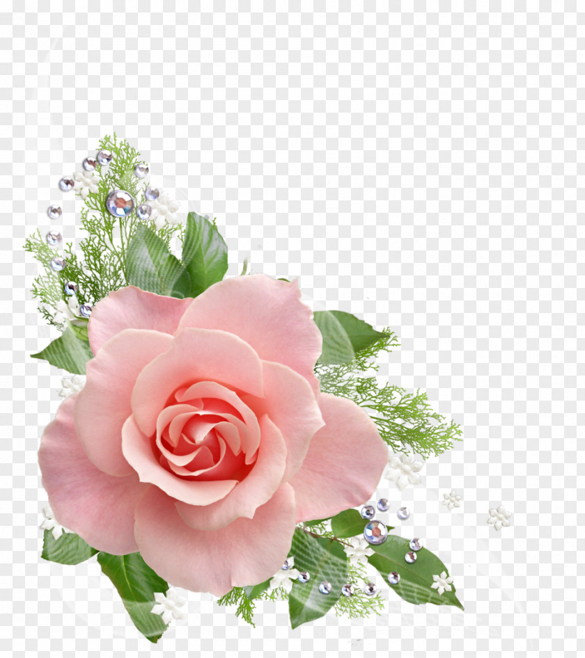 Watercolor Rose Flower Pink Clip Art PNG