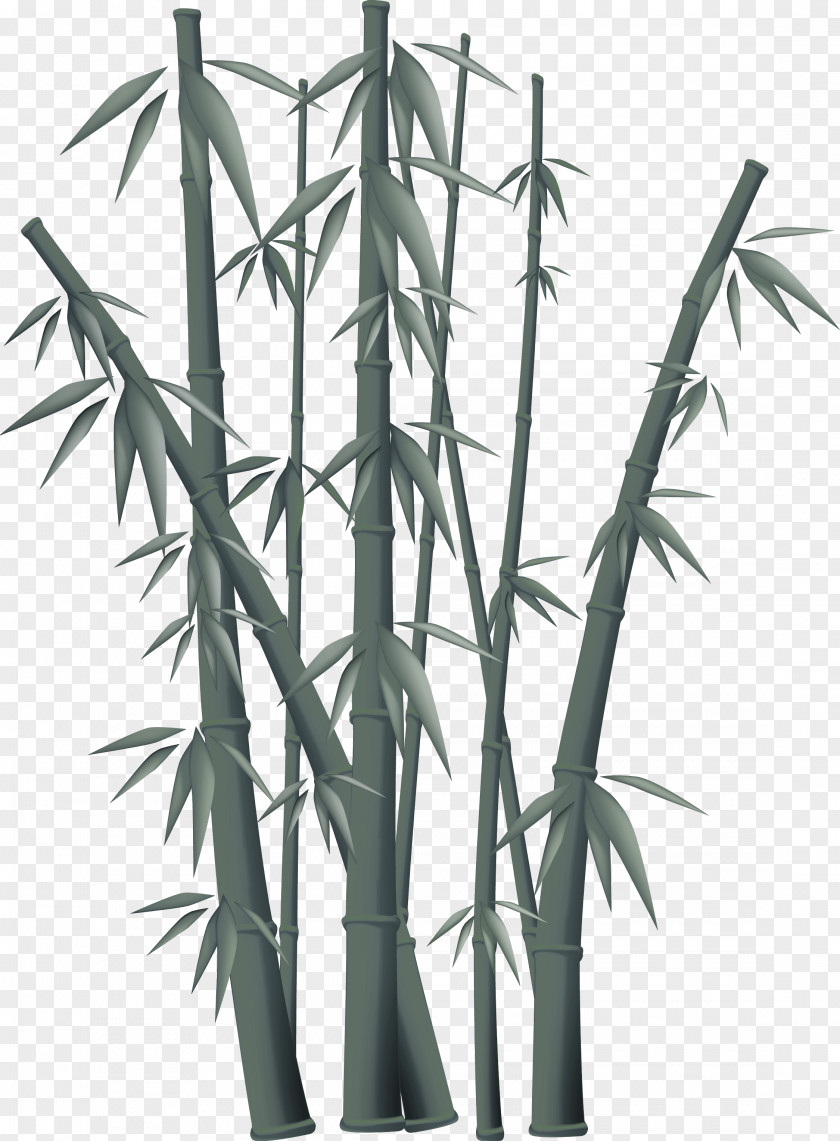 Green Chinese Wind Bamboo Decorative Pattern Free Content Clip Art PNG