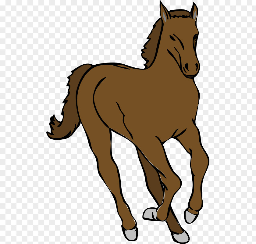 Horse Foal Clip Art PNG