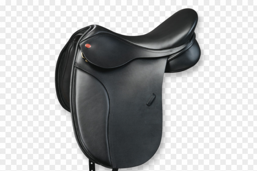 Acorn Saddle Dressage Horse Tack Equestrian Pony PNG