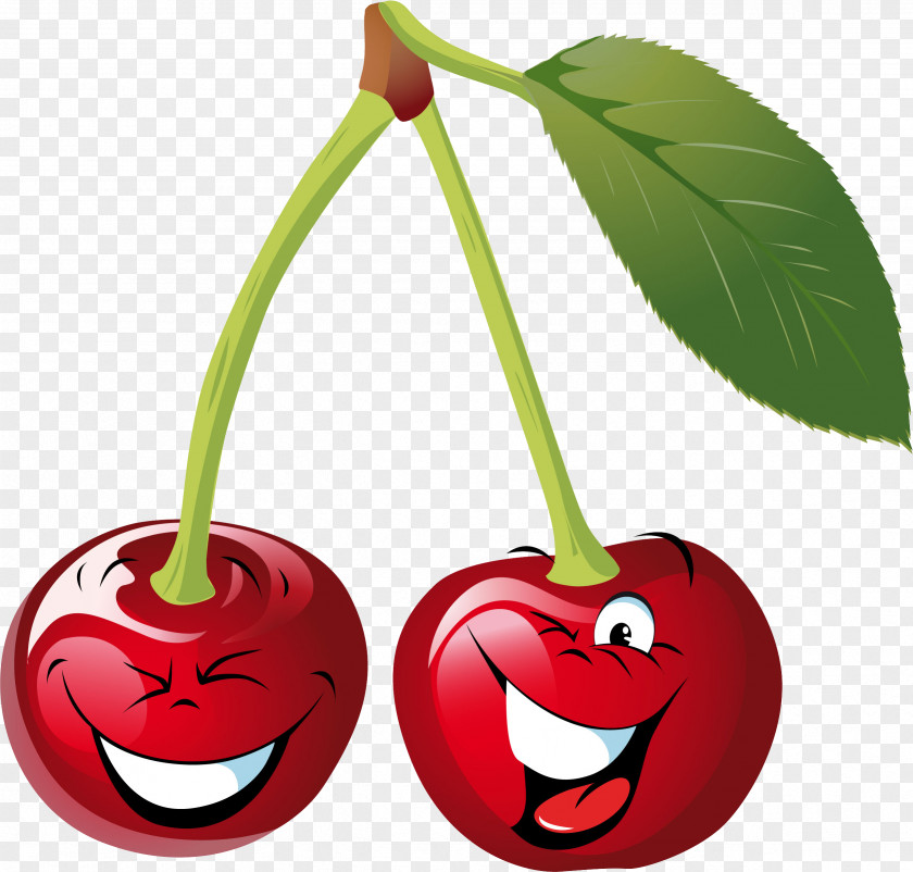 Cherry Drawing Clip Art PNG