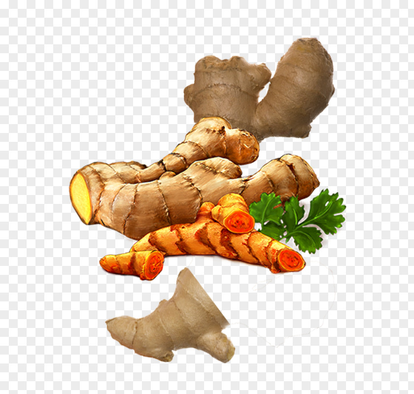 Creative Variety Of Fresh Ginger Turmeric Condiment PNG