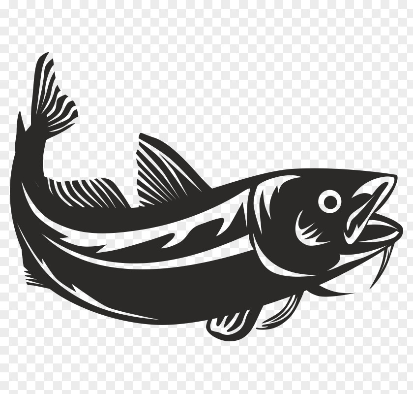 Fish Atlantic Cod Royalty-free Vector Graphics Stock Photography Illustration PNG