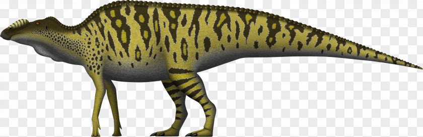Hadrosaurid Edmontosaurus Annectens Maiasaura Hadrosaurus Dinosaur PNG