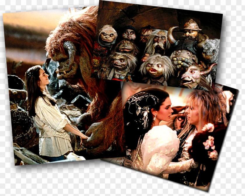 Labyrinth Jareth Hoggle Film National Entertainment Collectibles Association Goblin PNG