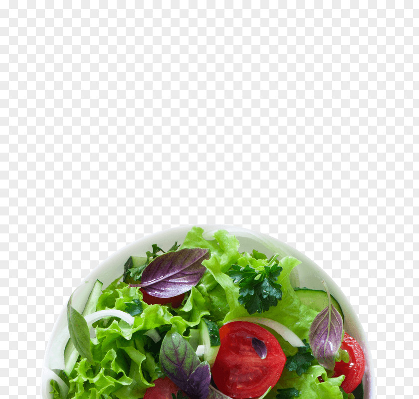 Salad Lettuce Vegetable Vegetarian Cuisine Radish PNG