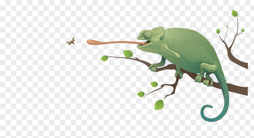 The Insects Are Picking Up Lizards Chameleons Lizard Clip Art PNG