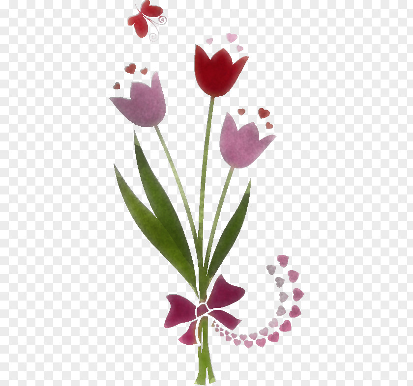 Tulip Bouquet Flower Bunch PNG