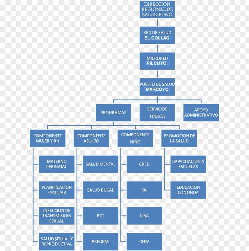 Business Organizational Chart Structure PNG