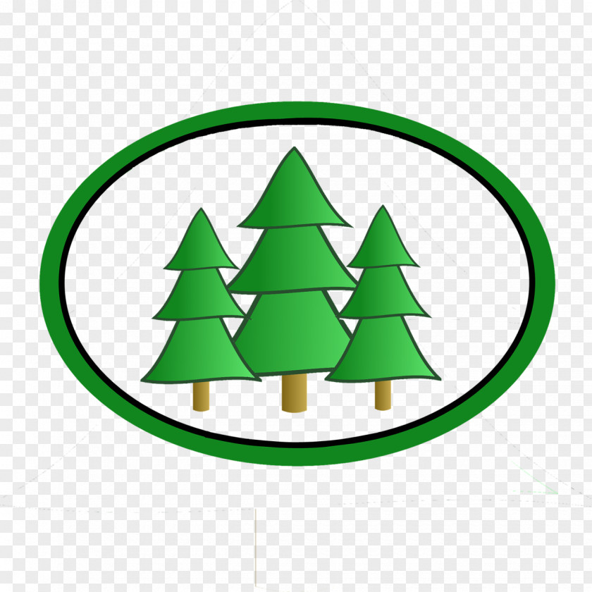 Christmas Tree Conifers Fir Pine PNG