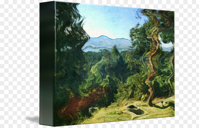 Painting Biome Rainforest Landscape Tree PNG