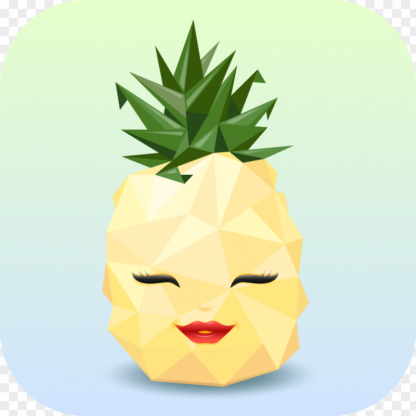Pineapple IPhone Home Screen PNG