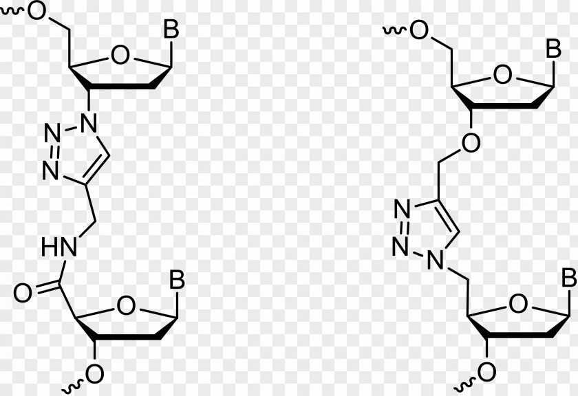 Triazole Click Chemistry Chemical Reaction Oligonucleotide PNG