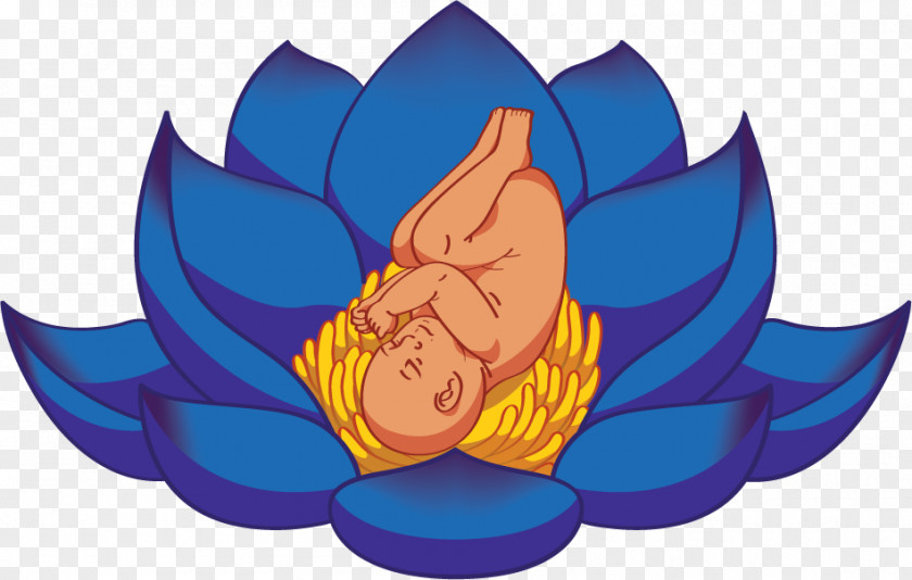 Woman Doula Childbirth Nelumbo Nucifera Egyptian Lotus PNG