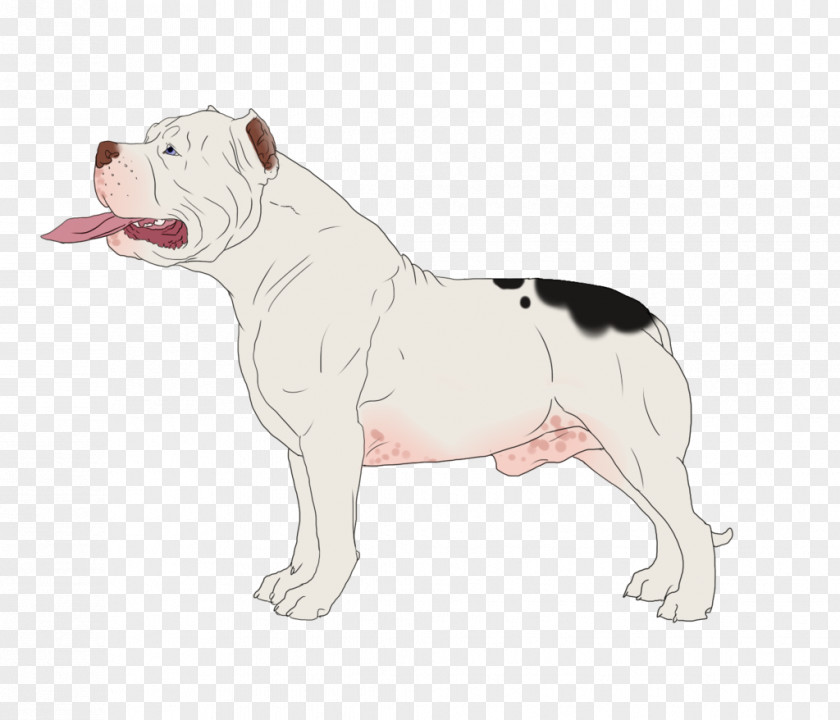 Artificial Insemination Dorset Olde Tyme Bulldogge English American Bulldog Toy Valley PNG