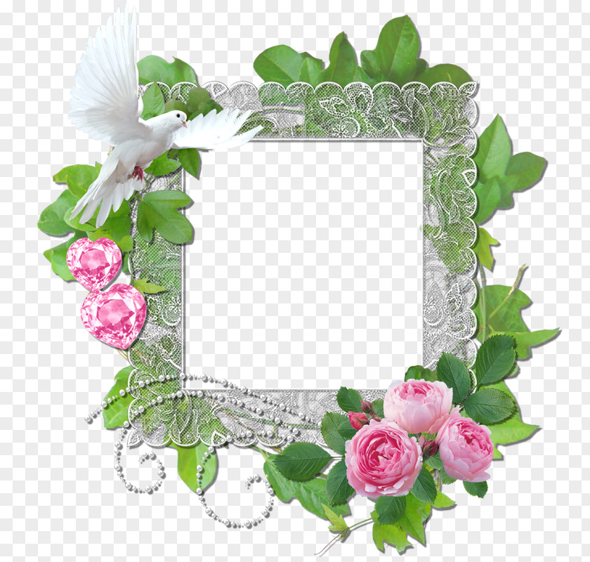 Blog Annunciation Photography Picture Frames Animation Clip Art PNG