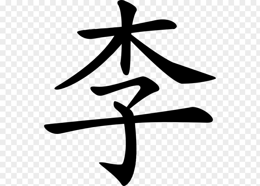 Chinese Brush Calligraphy China Characters Surname Translation PNG