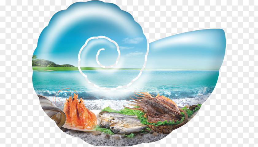 Conch Seafood Poster PNG