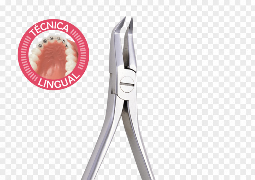 Design Lingual Braces Dental PNG