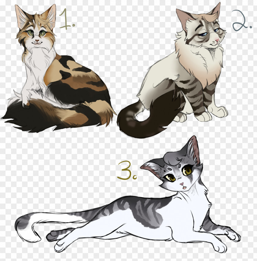 Drawings Of Go Fight Win Kitten American Wirehair Whiskers Wildcat Domestic Short-haired Cat PNG