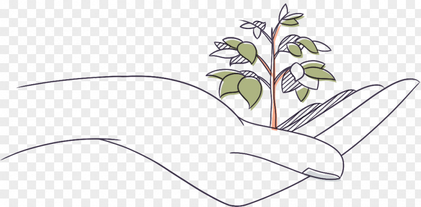 Hand-painted Illustration Drawing Line Art PNG